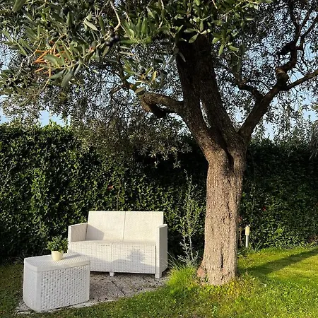Finestra Sul *